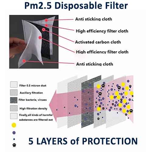 pm2.5 filter detail